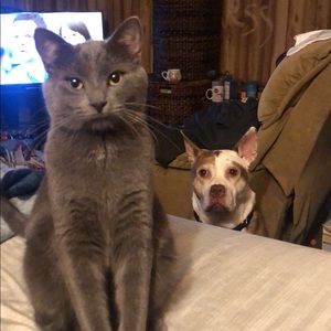 Meet your Posher, Laura